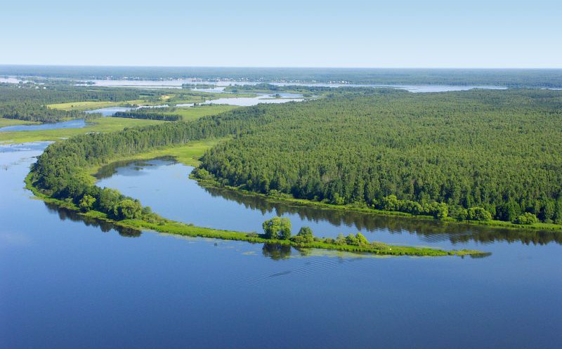 aaa