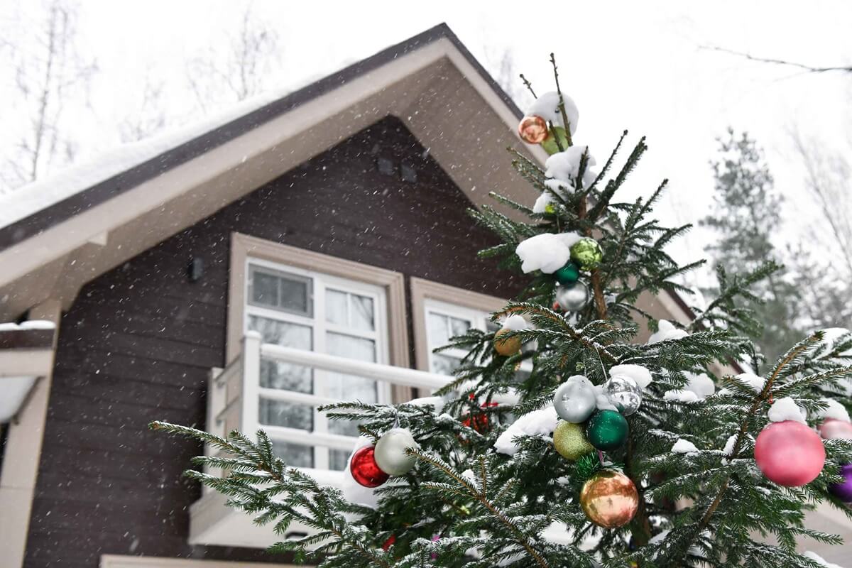 Новый год 2026